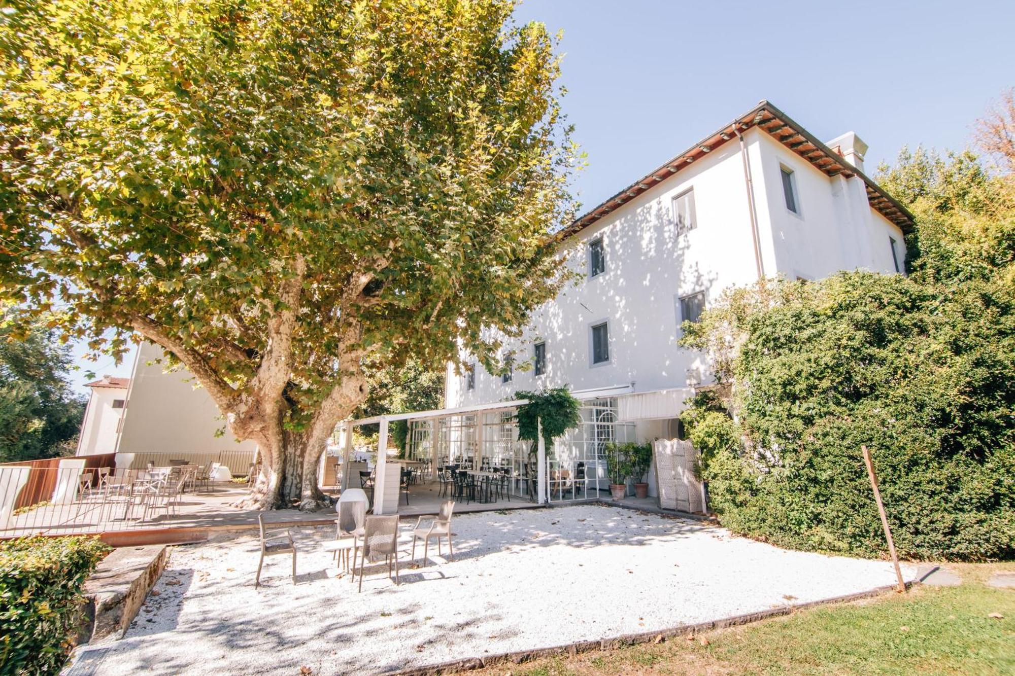 Villa La Bianca Camaiore Zewnętrze zdjęcie