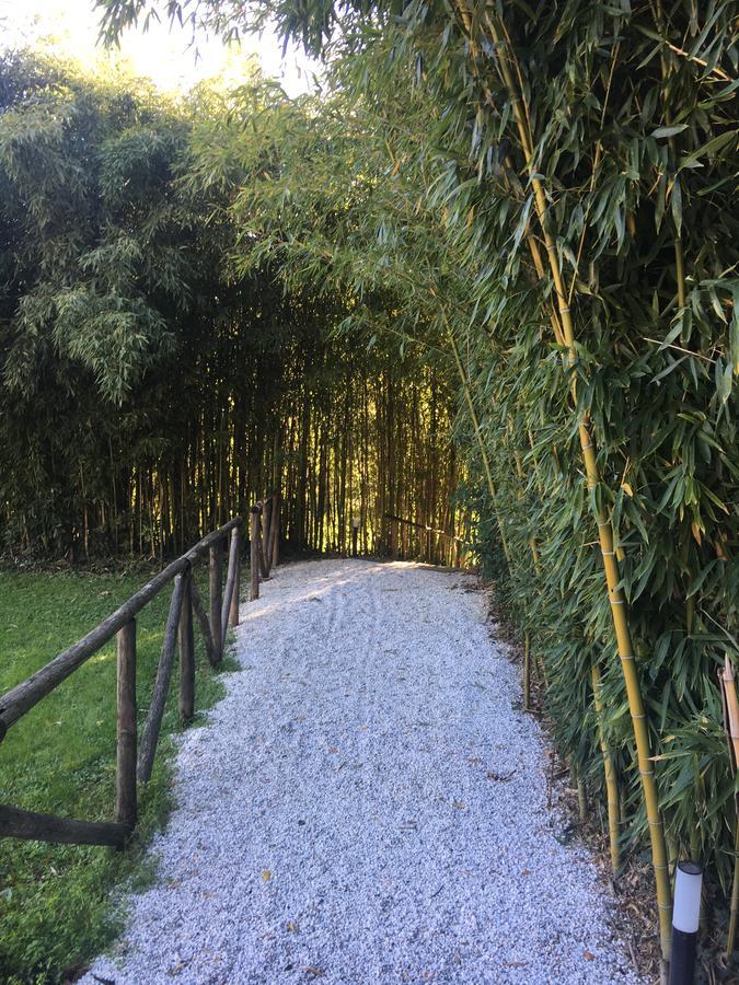Villa La Bianca Camaiore Zewnętrze zdjęcie